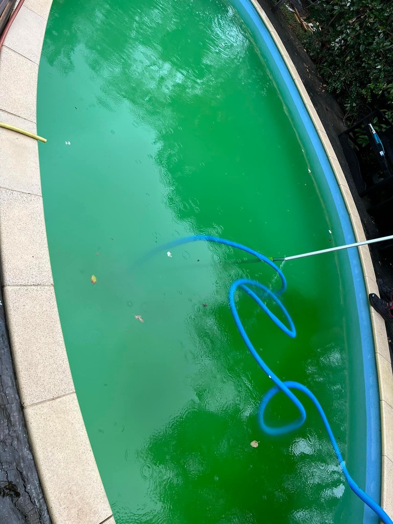 Remise en état de piscine, Saint-Gilles les Bains